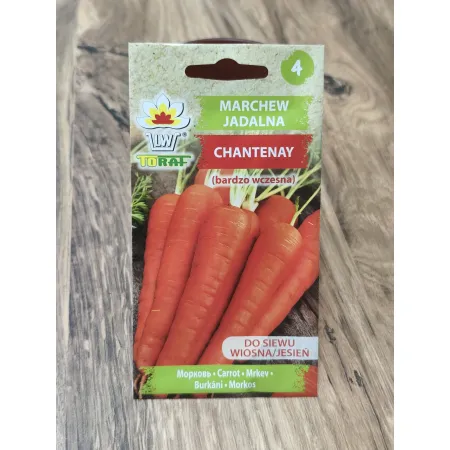 Marchew jadalna Chantenay
